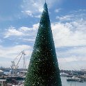 ZAF WC CapeTown 2016NOV16 004  Only 6 weeks from Chirstmas and I'd have to say that this is one of the biggest Chrsitmas trees I've seen. : 2016 - African Adventures, Cape Town, Western Cape, South Africa, Southern, Africa, 2016, November, V&A